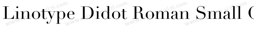 Linotype Didot Roman Small Caps & Oldstyle Figures字体转换